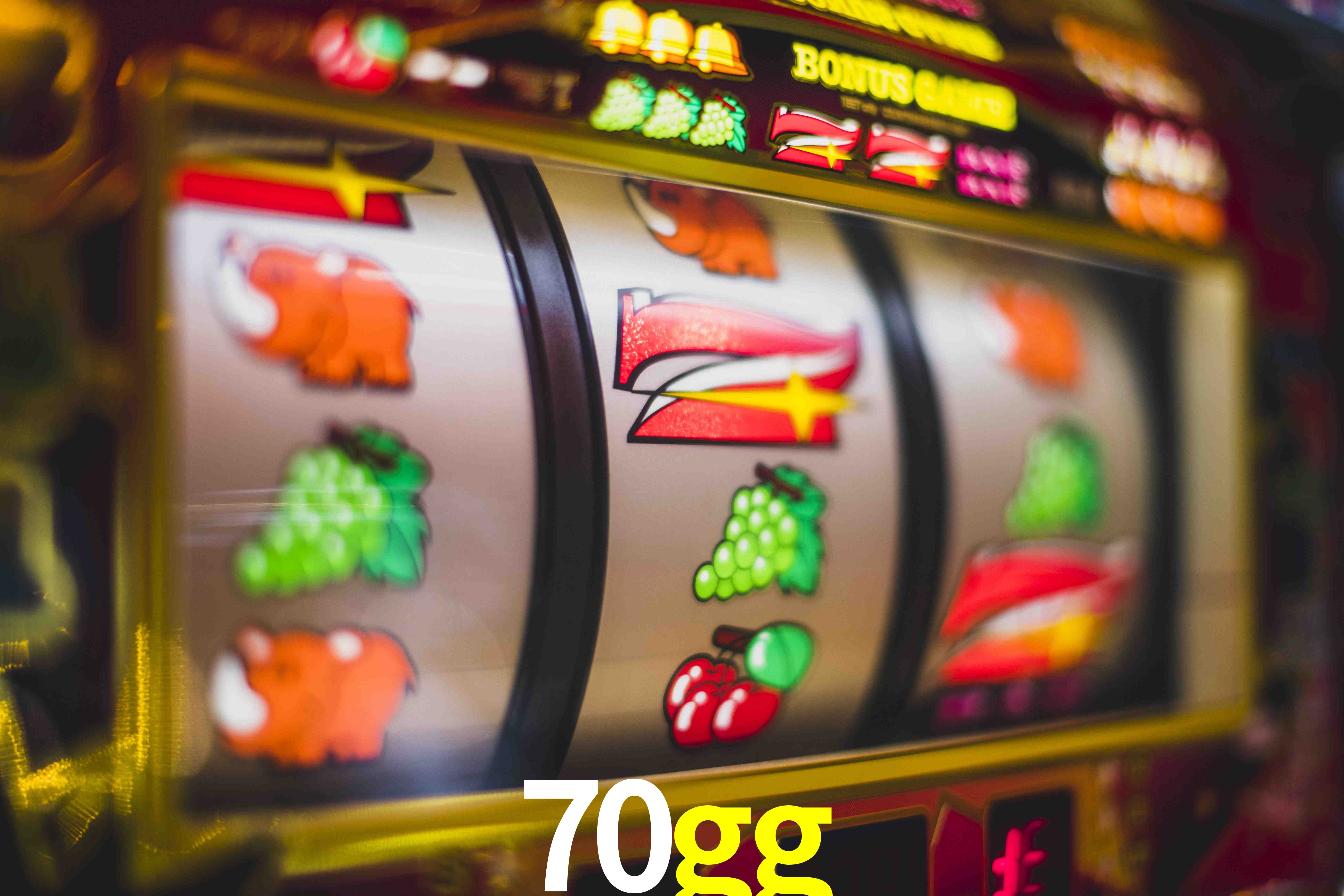 Experiência VIP 70gg